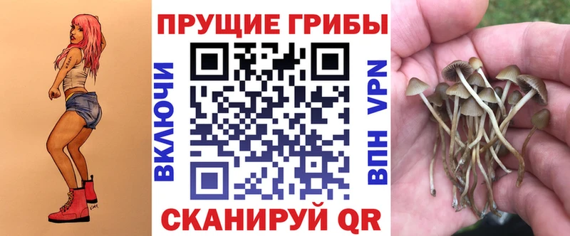 наркота  Тулун  Галлюциногенные грибы прущие грибы 