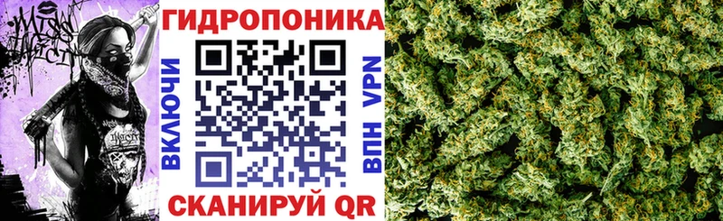 Конопля марихуана  нарко площадка состав  Тулун 